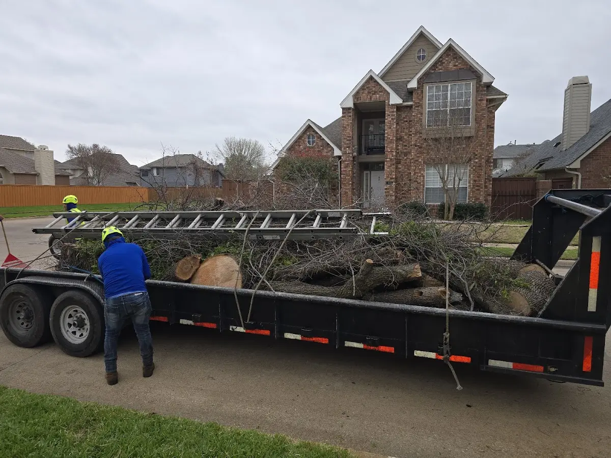 Expert Deadwooding with proper safety equipment in Kingsford Heights